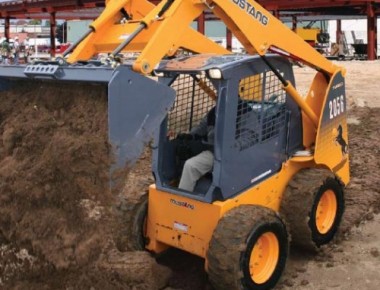 MANITOU ET MUSTANG SUR LA FOIRE DE SAINT MARTIN DE CRAU  2011