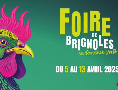Actemis présent à la Foire de Brignoles